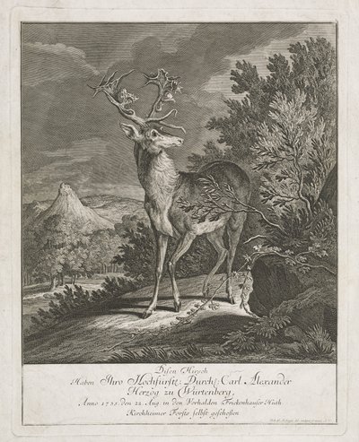 Ein prächtiger Hirsch in einer Landschaft von Johann Elias Ridinger