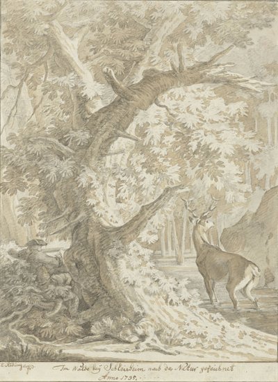 Jäger zielt auf einen Hirsch im Wasser unter einem alten Baum von Johann Elias Ridinger