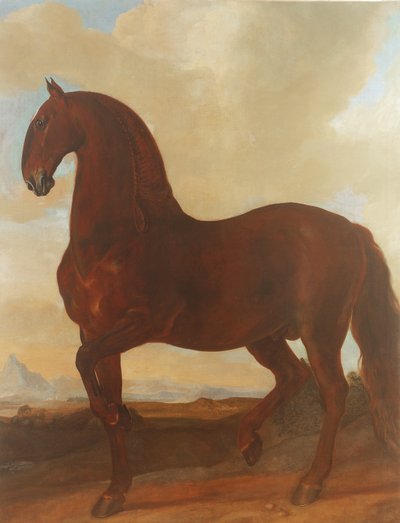 Der Braune Hengst im Eisgruber Gestüt von Johann Georg Hamilton