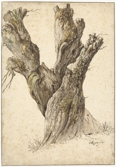 Eine Kopfweide von Johann Heinrich Roos