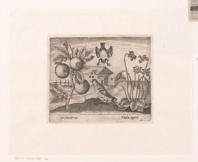 Serie von Drucken mit Blumen und Tieren in einer Landschaft von Johann Hogenberg