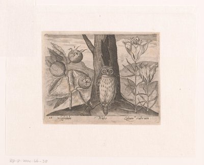 Serie von Drucken mit Blumen und Tieren in einer Landschaft von Johann Hogenberg