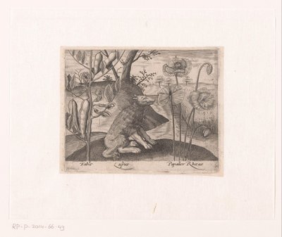 Serie von Drucken mit Blumen und Tieren in einer Landschaft von Johann Hogenberg