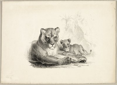 Löwe mit Jungen von Johann Höchle