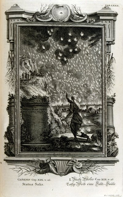 Lots Frau verwandelt sich in eine Salzsäule von Johann Jakob Scheuchzer