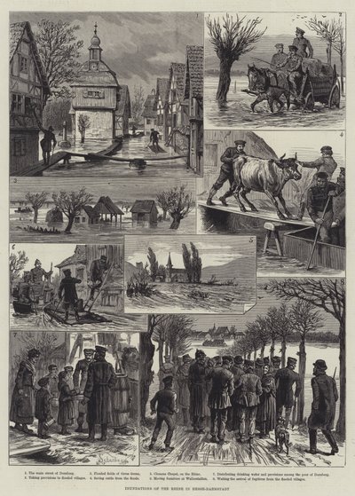 Überschwemmungen des Rheins in Hessen-Darmstadt von Johann Nepomuk Schonberg