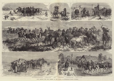 Leben unter den Wildpferden der Puszta, oder Ungarische Heide von Johann Nepomuk Schonberg