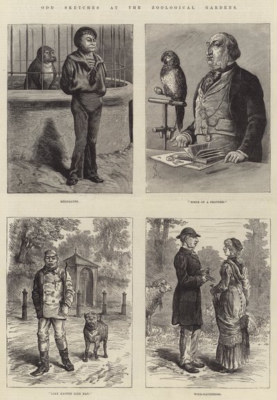 Seltsame Skizzen im Zoologischen Garten von Johann Nepomuk Schonberg