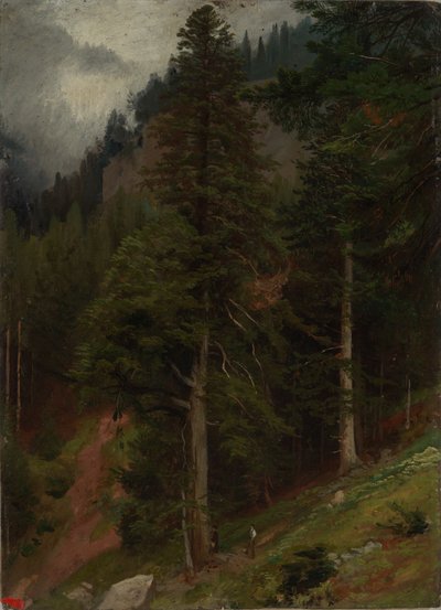 Hang im Tannenwald von Johann Wilhelm Schirmer