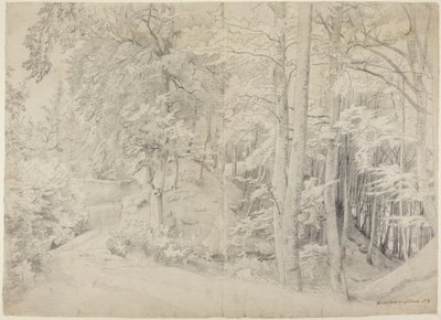 Im Buchenwald von Johann Wilhelm Schirmer