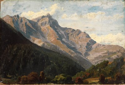 Schweizer Gebirgslandschaft mit dem Piz Beverin im Hintergrund von Johann Wilhelm Schirmer