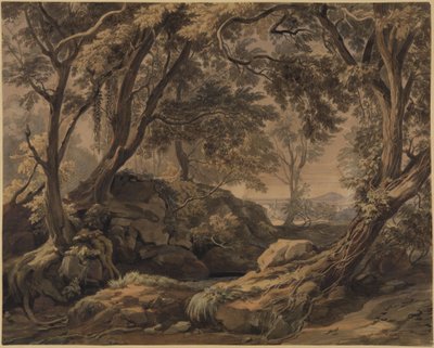 Waldlandschaft mit Blick auf Olevano und den Monte Cavo von Johann Wilhelm Schirmer