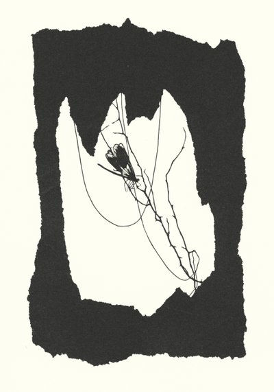 Johanna Beckmann Silhouette von Johanna Beckmann