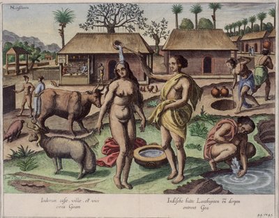 Leben in Goa, Illustration aus 