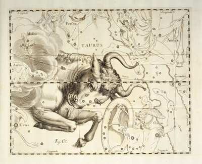 Stier, Sternbild des Stiers, Gravur aus dem Himmelsatlas Firmamentum Sobiescianum sive Uronographia, von Johann Hevelius (1611-1687), Danzig von Johannes Hevelius