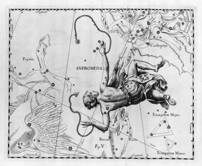 Die Konstellation Andromeda. Tafel aus „Firmamentum Sobiescanum sive Uranographia“ von Johannes Hevelius (1611-1687) von Johannes Hevelius