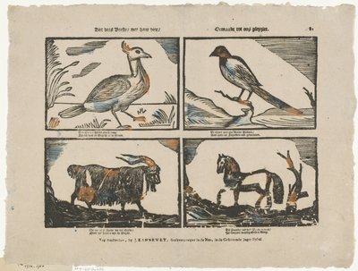 Sieh diese Tiere mit ihren vier von Johannes Kannewet (II)