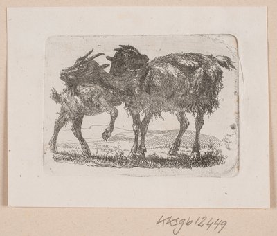 Eine Ziege mit ihrem Kitz von Johannes Wilhelm Zillen