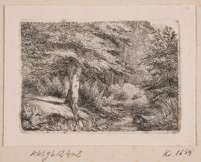 Waldszene von Johannes Wilhelm Zillen