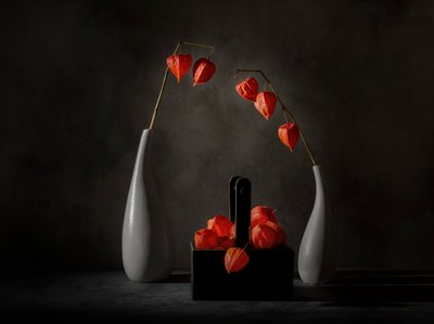 Dramatische Chinesische Laternen von John-Mei Zhong