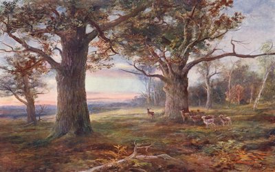 Am Rande des Sherwood Forest von John (after) MacWhirter