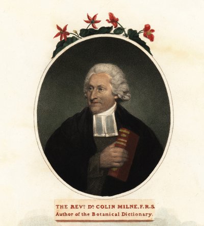 Porträt von Colin Milne, Botaniker (Stich) von John (after) Russell