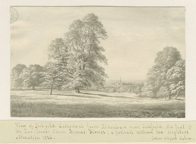 Lichfield Kathedrale - Ansicht von Aldershaw (fern) von John Allport