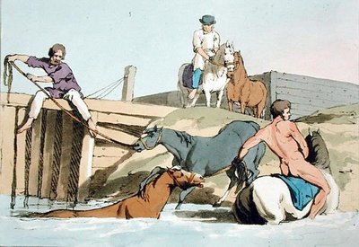 Badende Pferde, geätzt vom Künstler, veröffentlicht 1803 (Farblithografie) von John Augustus Atkinson