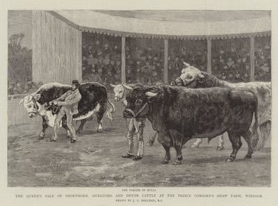 Der Verkauf von Shorthorn-, Hereford- und Devon-Rindern der Königin auf der Shaw Farm des Prinzgemahls, Windsor von John Charles Dollman