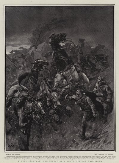 Eine wilde Stampede, die Wirkung eines südafrikanischen Hagelsturms von John Charlton
