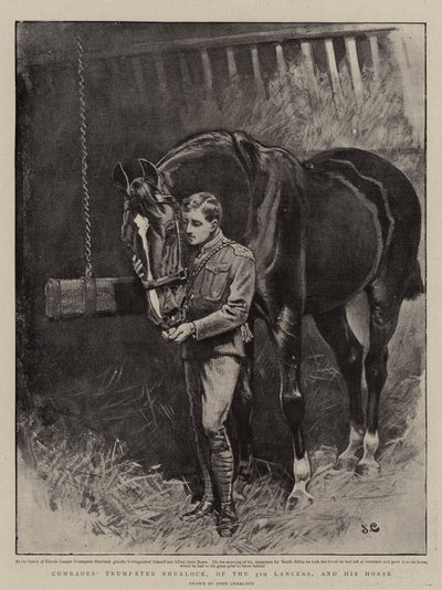Kameraden, Trompeter Shurlock von den 5. Lanzern und sein Pferd von John Charlton