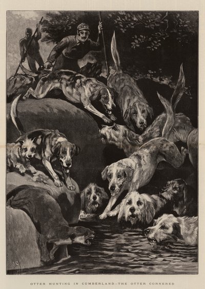 Otterjagd in Cumberland, der Otter in die Enge getrieben von John Charlton