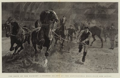 Die Schau der Hackney Stud-Book Society in der Landwirtschaftshalle, Tempo und Aktion von John Charlton