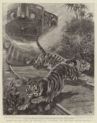 Tiger auf der Linie, ein Vorfall auf einer Reise mit der East Indian Railway von John Charlton