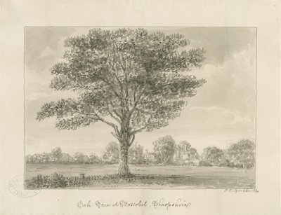 Boscobel - Die Königseiche von John Chessell Buckler