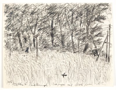 Vridsløsemagle. Baumgruppe mit Feld davor. Abend von John Christensen