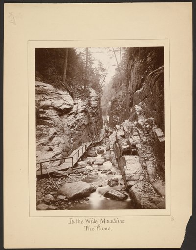 In den Weißen Bergen/Die Flume von John Coates Browne