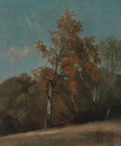 Studie eines Eschenbaums, zwischen 1801 und 1803 oder zwischen 1810 und 1830 von John Constable