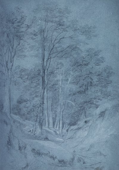 Studie von Eschen und anderen Bäumen von John Constable