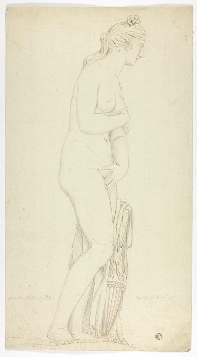 Antike Statue der stehenden Venus von John Downman