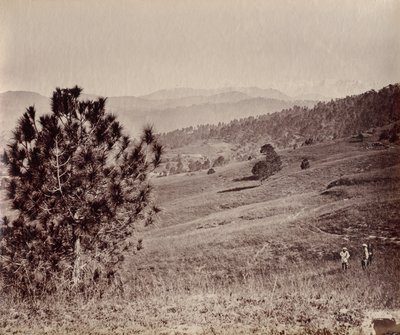 Landschaft mit Baum und drei Männern, Indien von John Edward Saché