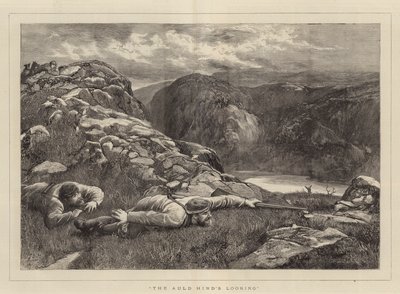 Der Blick des alten Hirsches von John Evan Hodgson