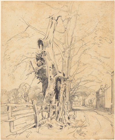 Bäume an einem Lattenzaun von John Frederick Kensett