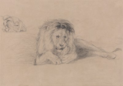Studie eines Löwen und Studie eines Löwenkopfes von John Frederick Lewis