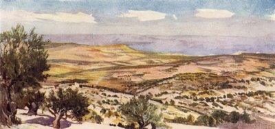 Die Felder von Ruth und Boas, nahe Bethlehem von John Fulleylove