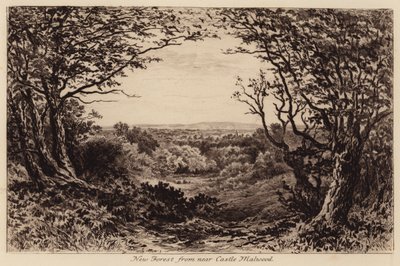 New Forest nahe Schloss Malwood von John Fullwood