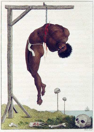 Eine schwarze Person lebendig an den Rippen an einen Galgen gehängt, veröffentlicht 1796 von John Gabriel Stedman
