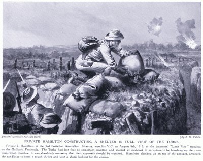 Private Hamilton baut einen Unterstand im vollen Blick der Türken an den Lone Pine Gräben auf der Gallipoli-Halbinsel, August 1915 von John Harris Valda