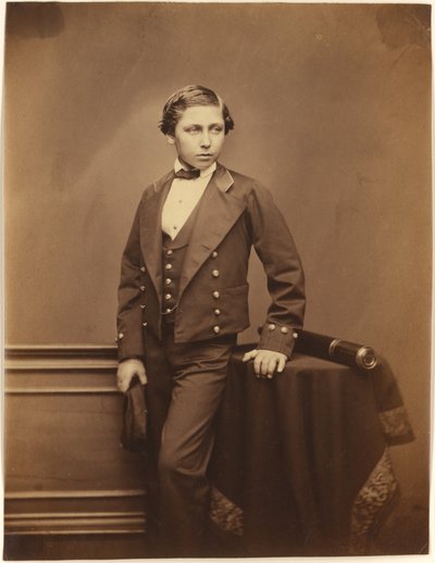 Der Prinz von Wales (Edward VII) von John Jabez Edwin Mayall