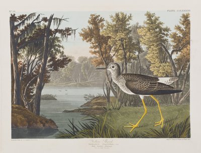 Illustration aus 